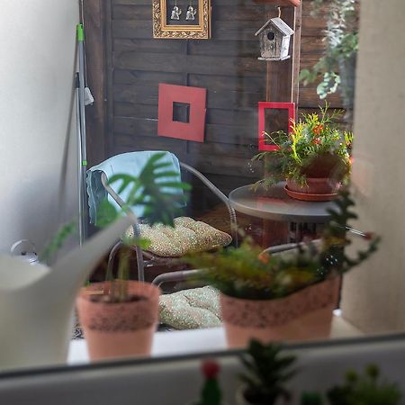 Apartament U Olechny 4 Бидгошч Екстериор снимка
